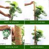 imageEcoNour 475quot 4 Pack  16quot Stackable Moss Pole for Monstera Plant Support  Moss Sticks for Indoor Plants  Coir Totem Poles for Climbing Plants Potted Plants Creepers with Tie Accessories265