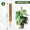 imageEcoNour 475quot 4 Pack  16quot Stackable Moss Pole for Monstera Plant Support  Moss Sticks for Indoor Plants  Coir Totem Poles for Climbing Plants Potted Plants Creepers with Tie Accessories265