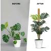 imageEcoNour 475quot 4 Pack  16quot Stackable Moss Pole for Monstera Plant Support  Moss Sticks for Indoor Plants  Coir Totem Poles for Climbing Plants Potted Plants Creepers with Tie Accessories265