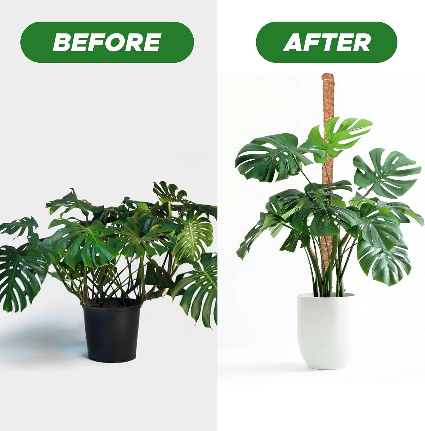 imageEcoNour 28quot 2 Pack Moss Pole  Moss Pole Monstera Plant Support  Plant Sticks for Indoor Climbing Plants  Support for Potted Plants Like Pothos Philodendrons and More48 Inches  1 PC