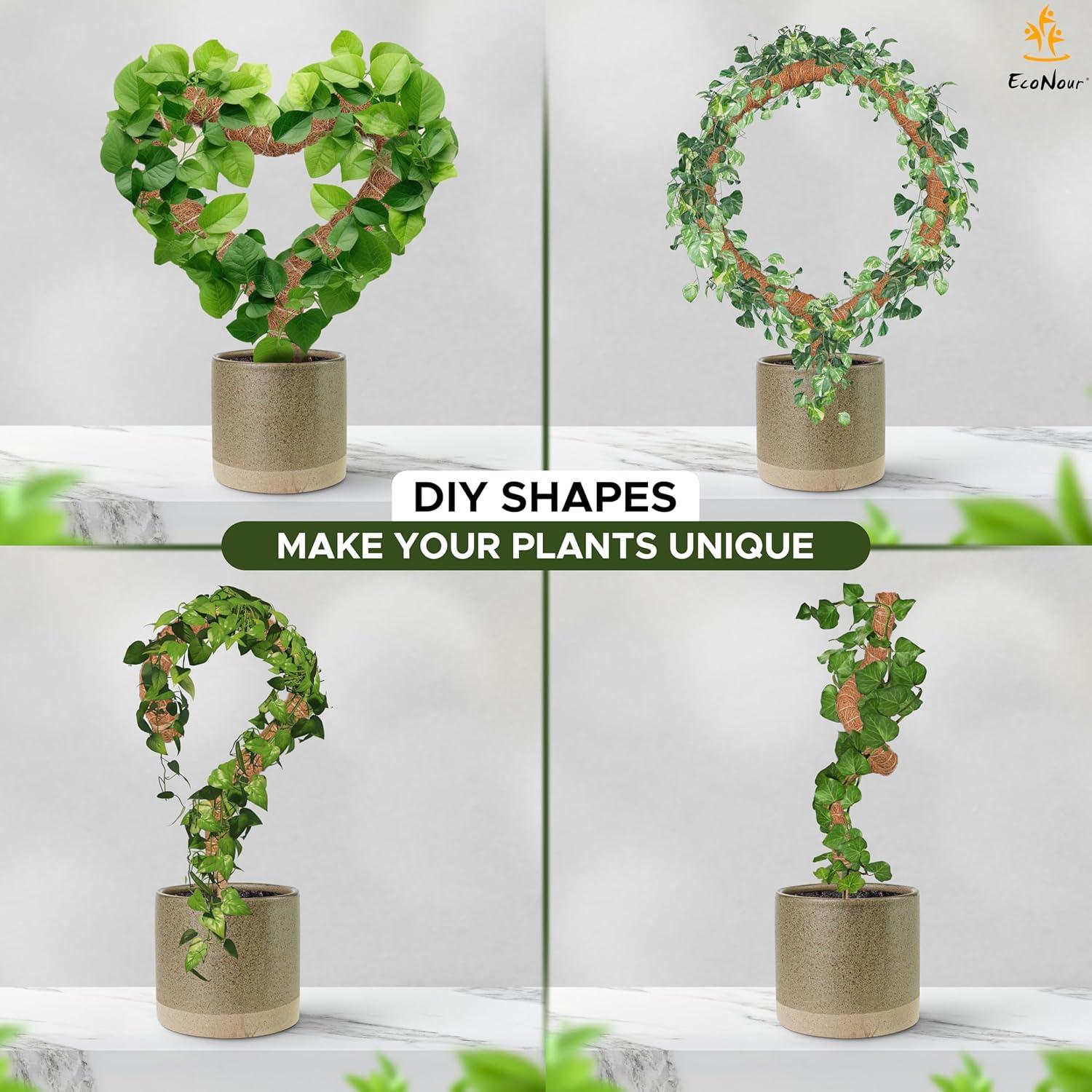 imageEcoNour 28quot 2 Pack Moss Pole  Moss Pole Monstera Plant Support  Plant Sticks for Indoor Climbing Plants  Support for Potted Plants Like Pothos Philodendrons and More48 Inches  1 PC