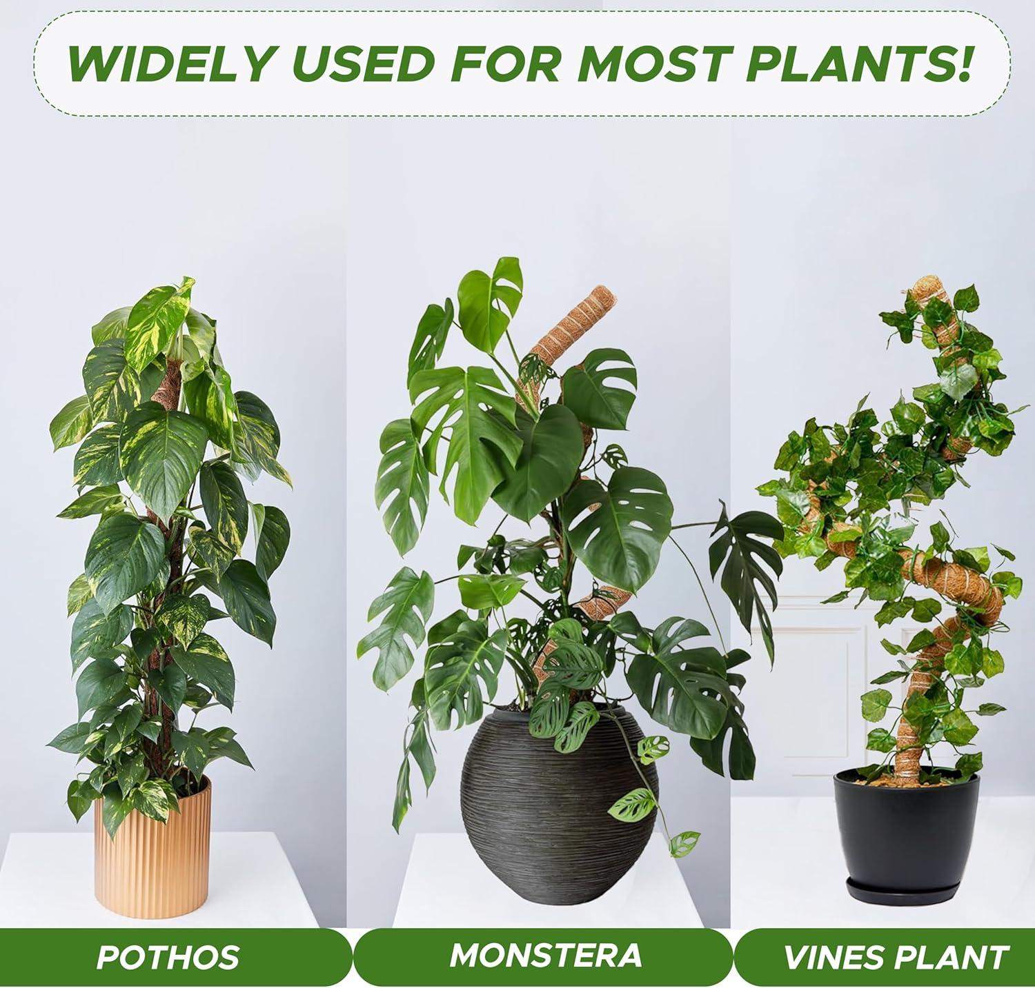 imageEcoNour 28quot 2 Pack Moss Pole  Moss Pole Monstera Plant Support  Plant Sticks for Indoor Climbing Plants  Support for Potted Plants Like Pothos Philodendrons and More48 Inches  2 PCS