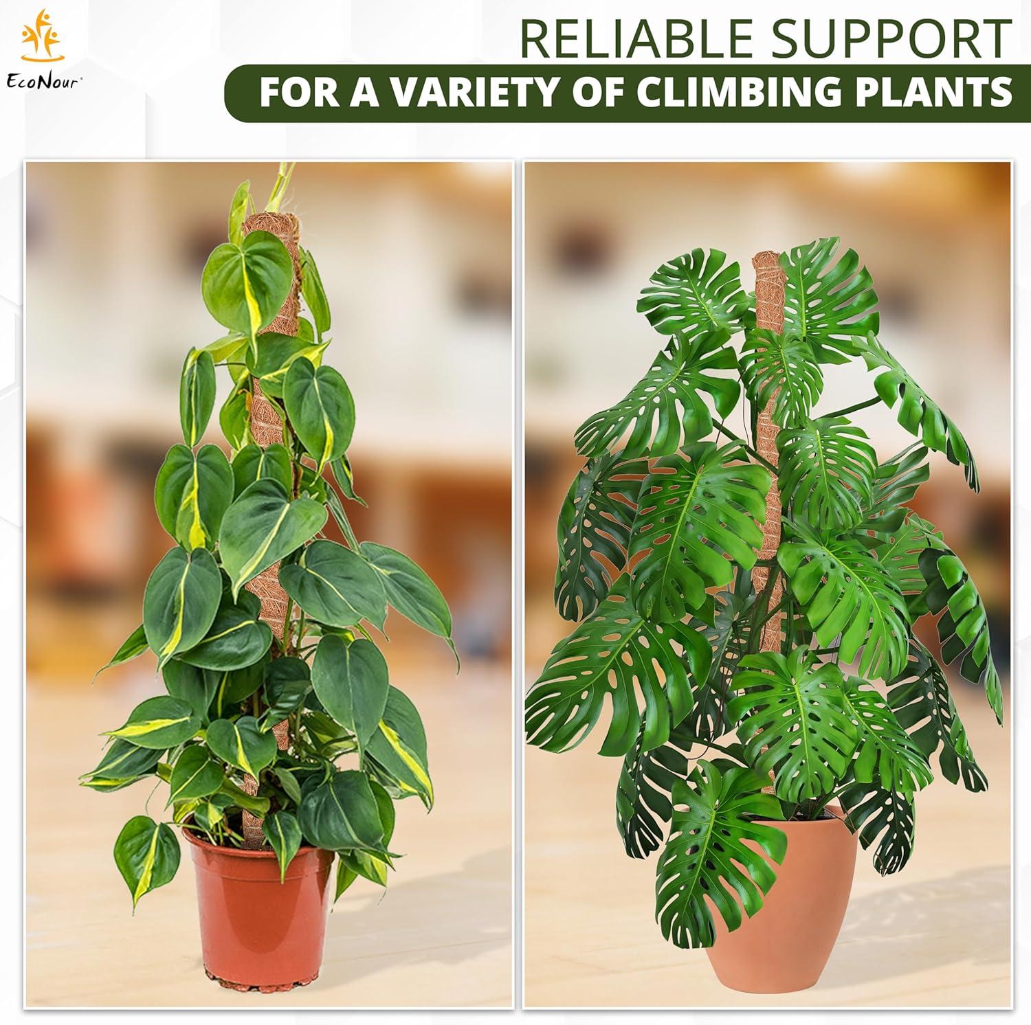 imageEcoNour 28quot 2 Pack Moss Pole  Moss Pole Monstera Plant Support  Plant Sticks for Indoor Climbing Plants  Support for Potted Plants Like Pothos Philodendrons and More28 Inches  4 PCS
