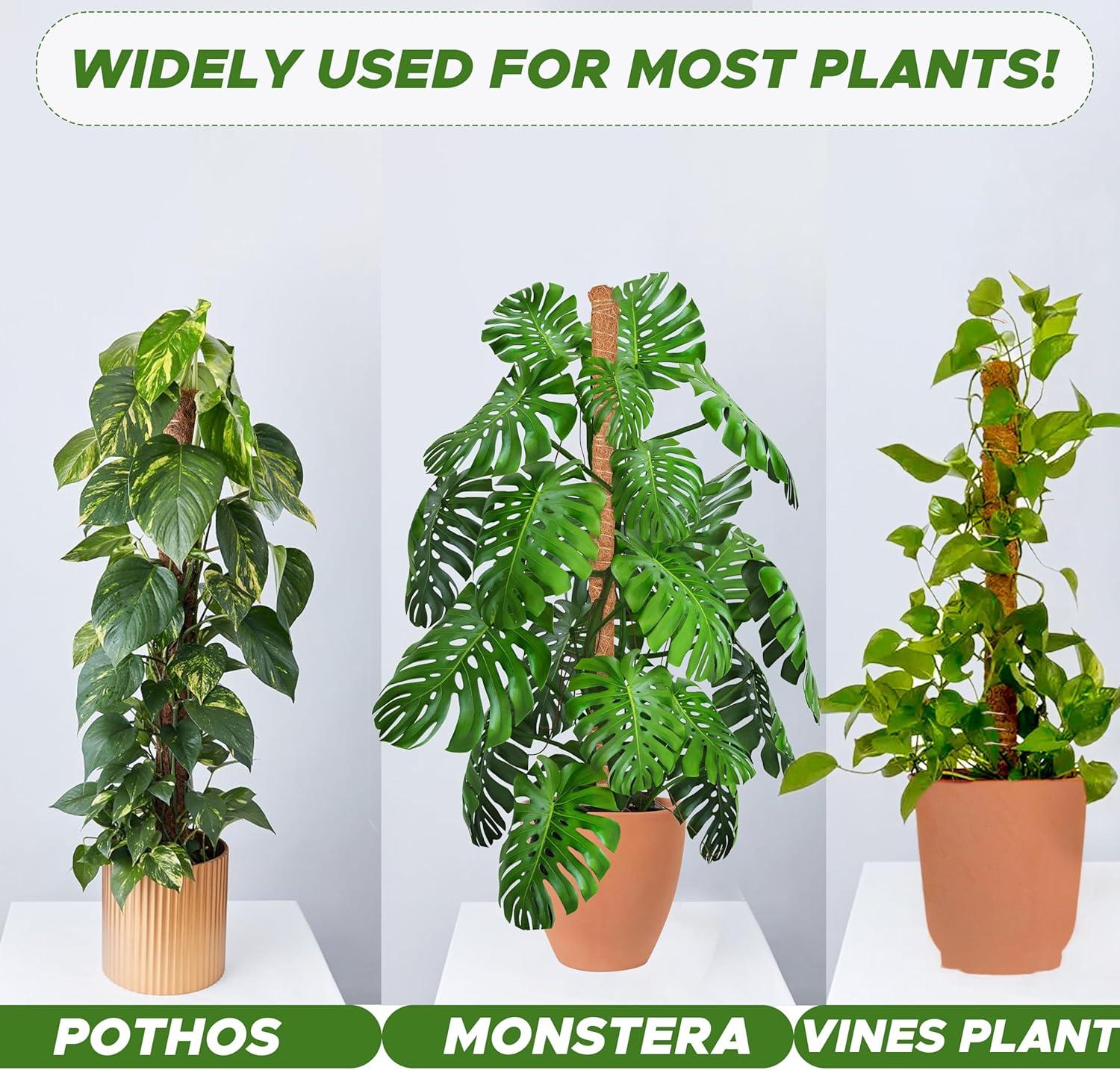 imageEcoNour 28quot 2 Pack Moss Pole  Moss Pole Monstera Plant Support  Plant Sticks for Indoor Climbing Plants  Support for Potted Plants Like Pothos Philodendrons and More28 Inches  2 PCS