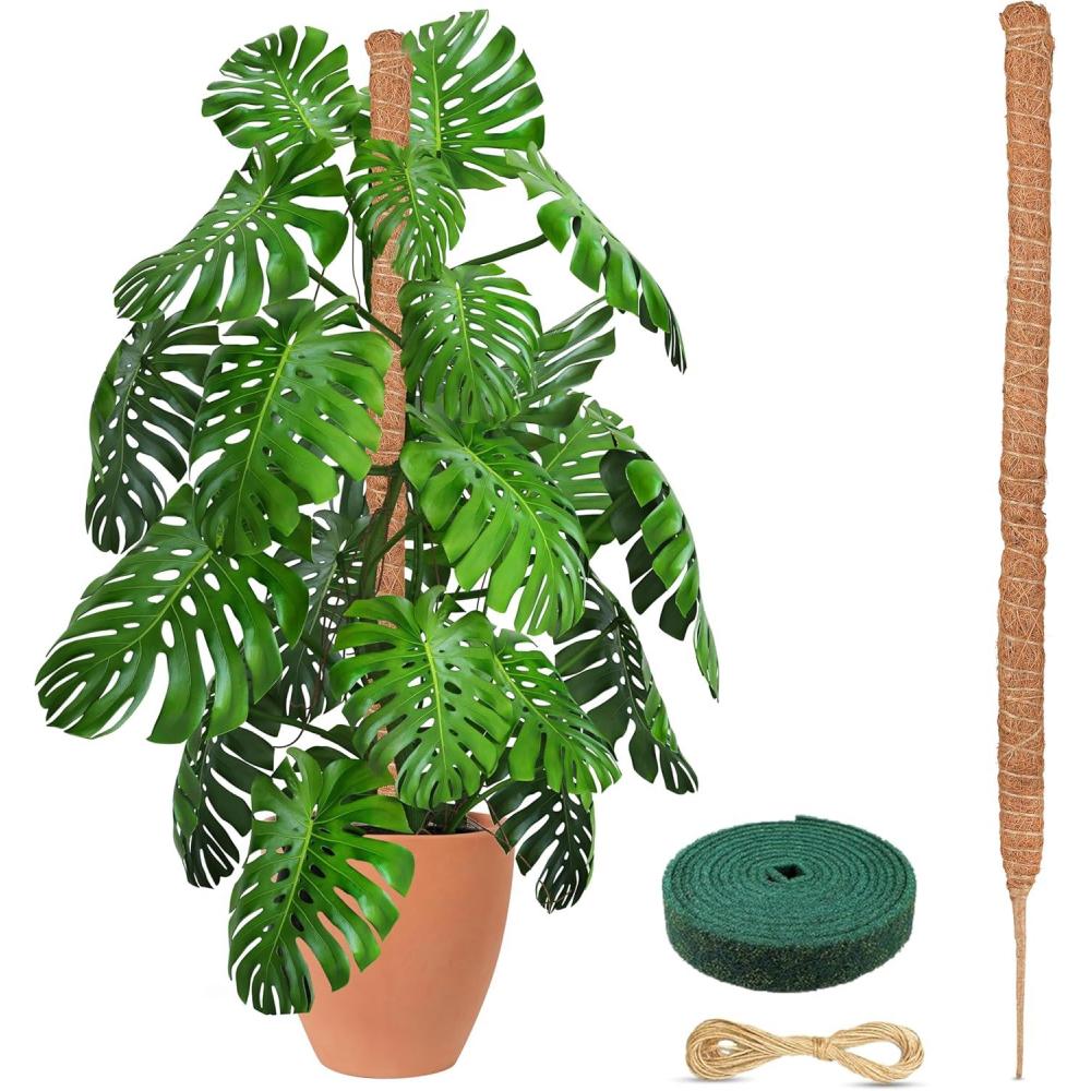imageEcoNour 28quot 2 Pack Moss Pole  Moss Pole Monstera Plant Support  Plant Sticks for Indoor Climbing Plants  Support for Potted Plants Like Pothos Philodendrons and More48 Inches  1 PC