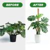 imageEcoNour 28quot 2 Pack Moss Pole  Moss Pole Monstera Plant Support  Plant Sticks for Indoor Climbing Plants  Support for Potted Plants Like Pothos Philodendrons and More48 Inches  1 PC