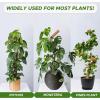 imageEcoNour 28quot 2 Pack Moss Pole  Moss Pole Monstera Plant Support  Plant Sticks for Indoor Climbing Plants  Support for Potted Plants Like Pothos Philodendrons and More48 Inches  2 PCS