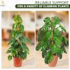 imageEcoNour 28quot 2 Pack Moss Pole  Moss Pole Monstera Plant Support  Plant Sticks for Indoor Climbing Plants  Support for Potted Plants Like Pothos Philodendrons and More28 Inches  4 PCS