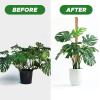 imageEcoNour 28quot 2 Pack Moss Pole  Moss Pole Monstera Plant Support  Plant Sticks for Indoor Climbing Plants  Support for Potted Plants Like Pothos Philodendrons and More28 Inches  2 PCS