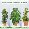 imageEcoNour 28quot 2 Pack Moss Pole  Moss Pole Monstera Plant Support  Plant Sticks for Indoor Climbing Plants  Support for Potted Plants Like Pothos Philodendrons and More28 Inches  2 PCS