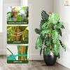 imageEcoNour 28quot 2 Pack Moss Pole  Moss Pole Monstera Plant Support  Plant Sticks for Indoor Climbing Plants  Support for Potted Plants Like Pothos Philodendrons and More48 Inches  1 PC