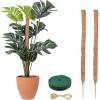 imageEcoNour 28quot 2 Pack Moss Pole  Moss Pole Monstera Plant Support  Plant Sticks for Indoor Climbing Plants  Support for Potted Plants Like Pothos Philodendrons and More48 Inches  2 PCS