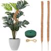 imageEcoNour 28quot 2 Pack Moss Pole  Moss Pole Monstera Plant Support  Plant Sticks for Indoor Climbing Plants  Support for Potted Plants Like Pothos Philodendrons and More28 Inches  2 PCS