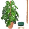 imageEcoNour 28quot 2 Pack Moss Pole  Moss Pole Monstera Plant Support  Plant Sticks for Indoor Climbing Plants  Support for Potted Plants Like Pothos Philodendrons and More48 Inches  1 PC