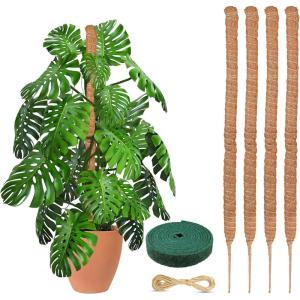 imageEcoNour 28quot 2 Pack Moss Pole  Moss Pole Monstera Plant Support  Plant Sticks for Indoor Climbing Plants  Support for Potted Plants Like Pothos Philodendrons and More28 Inches  4 PCS