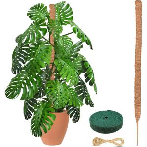 imageEcoNour 28quot 2 Pack Moss Pole  Moss Pole Monstera Plant Support  Plant Sticks for Indoor Climbing Plants  Support for Potted Plants Like Pothos Philodendrons and More48 Inches  1 PC