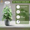 imageEcoNour 28 1Pack Halo Plant Grow Light for Indoor Plants Full Spectrum 6000k Grow Lamp for Single Plants Auto OnOff Timer House Plant Growing LED Lamp1 Pack
