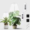 imageEcoNour 28 1Pack Halo Plant Grow Light for Indoor Plants Full Spectrum 6000k Grow Lamp for Single Plants Auto OnOff Timer House Plant Growing LED Lamp2 Pack