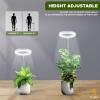 imageEcoNour 28 1Pack Halo Plant Grow Light for Indoor Plants Full Spectrum 6000k Grow Lamp for Single Plants Auto OnOff Timer House Plant Growing LED Lamp2 Pack