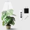 imageEcoNour 28 1Pack Halo Plant Grow Light for Indoor Plants Full Spectrum 6000k Grow Lamp for Single Plants Auto OnOff Timer House Plant Growing LED Lamp1 Pack