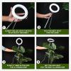imageEcoNour 28 1Pack Halo Plant Grow Light for Indoor Plants Full Spectrum 6000k Grow Lamp for Single Plants Auto OnOff Timer House Plant Growing LED Lamp2 Pack