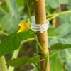 imageEcoNour 300Pcs Plant Support Clips for Garden  Tomato Clips for Twine Vines Trellis and Cages  Plant Support Garden Clips for Climbing  Garden Clips to Grow Upright Makes Plants Healthier300 Pieces