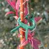 imageEcoNour 300Pcs Plant Support Clips for Garden  Tomato Clips for Twine Vines Trellis and Cages  Plant Support Garden Clips for Climbing  Garden Clips to Grow Upright Makes Plants Healthier40 Pieces