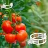 imageEcoNour 300Pcs Plant Support Clips for Garden  Tomato Clips for Twine Vines Trellis and Cages  Plant Support Garden Clips for Climbing  Garden Clips to Grow Upright Makes Plants Healthier100 Pieces