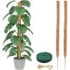 imageEcoNour Tall Moss Pole for Plants 1Pack 63Inch  Large Monstera Plant Support for Climbing and Growth  Elevate Your Indoor Garden  Tall Plant Support for Indoor Potted Plants to Grow Upwards63 Inches  2 PCS