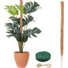 imageEcoNour Tall Moss Pole for Plants 1Pack 63Inch  Large Monstera Plant Support for Climbing and Growth  Elevate Your Indoor Garden  Tall Plant Support for Indoor Potted Plants to Grow Upwards63 Inches  1 PC