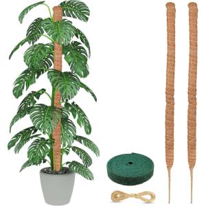 imageEcoNour Tall Moss Pole for Plants 1Pack 63Inch  Large Monstera Plant Support for Climbing and Growth  Elevate Your Indoor Garden  Tall Plant Support for Indoor Potted Plants to Grow Upwards63 Inches  2 PCS