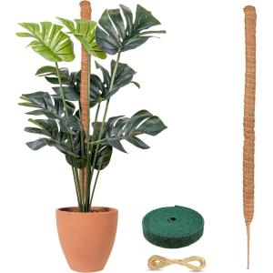 imageEcoNour Tall Moss Pole for Plants 1Pack 63Inch  Large Monstera Plant Support for Climbing and Growth  Elevate Your Indoor Garden  Tall Plant Support for Indoor Potted Plants to Grow Upwards63 Inches  1 PC